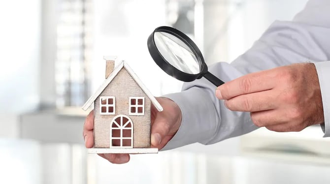 Cape Coral HomeWatch